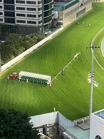 Overlook the race track