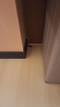 Cockroach in the room