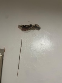 More Holes in the walls