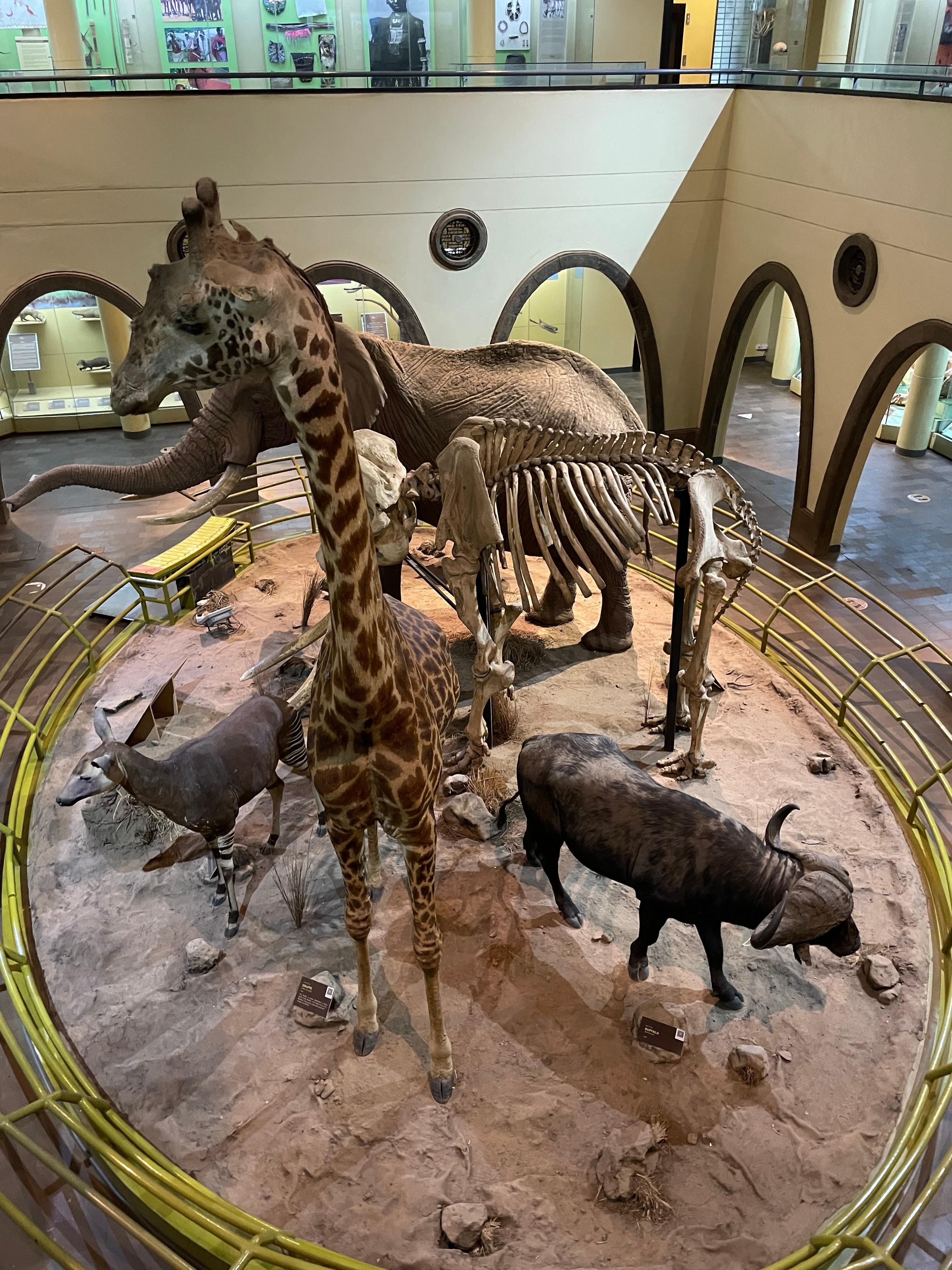 Nairobi National Museum