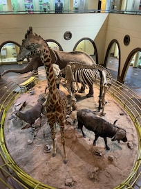 Nairobi National Museum