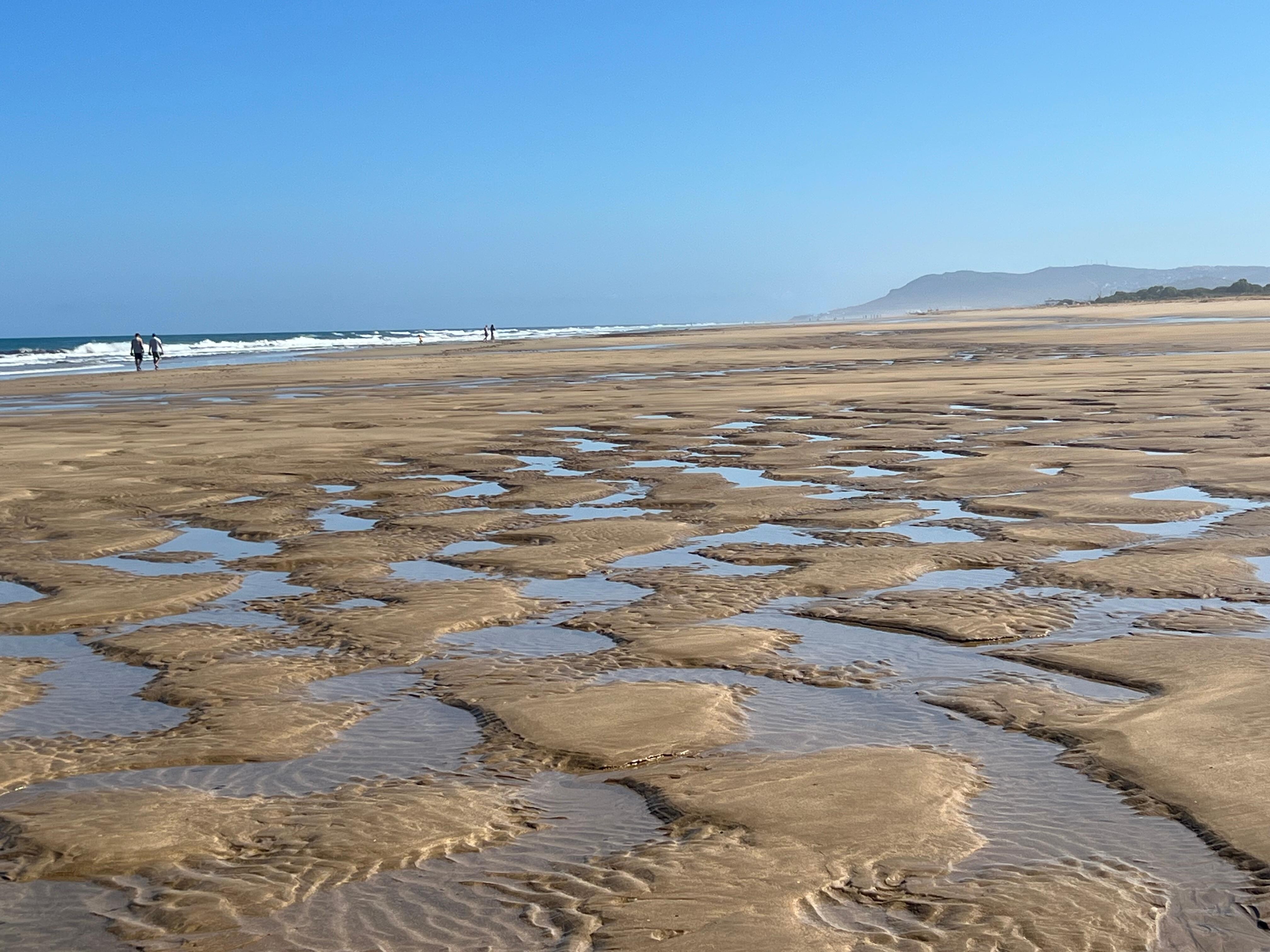 Low tide beach walk 