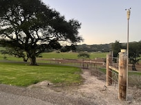 Tree with rope swing
