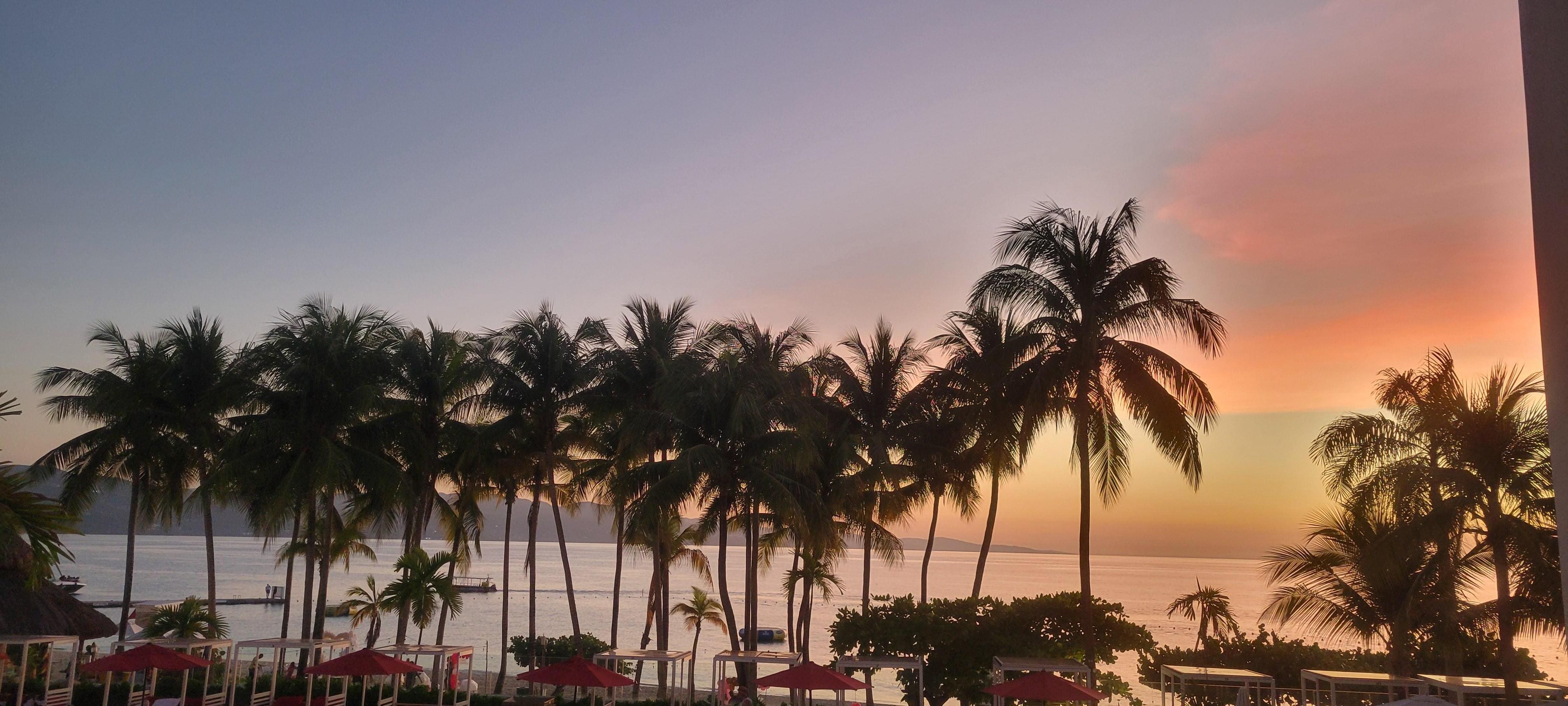 View from the shower