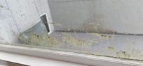 There are green spots over their glass windows (Room 1402).