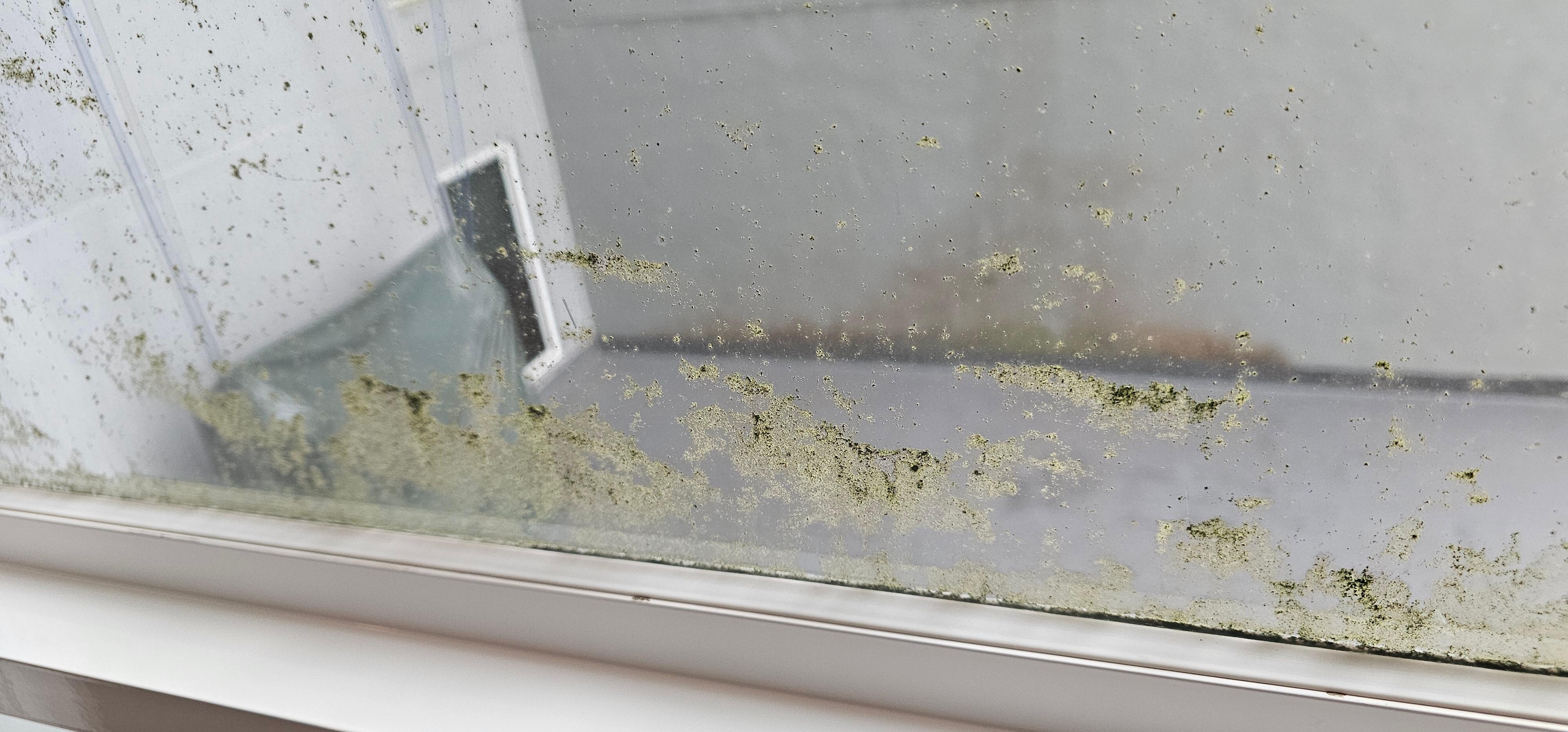 There are green spots over their glass windows (Room 1402).
