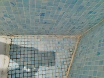 Shower floor