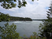 Reversing Falls