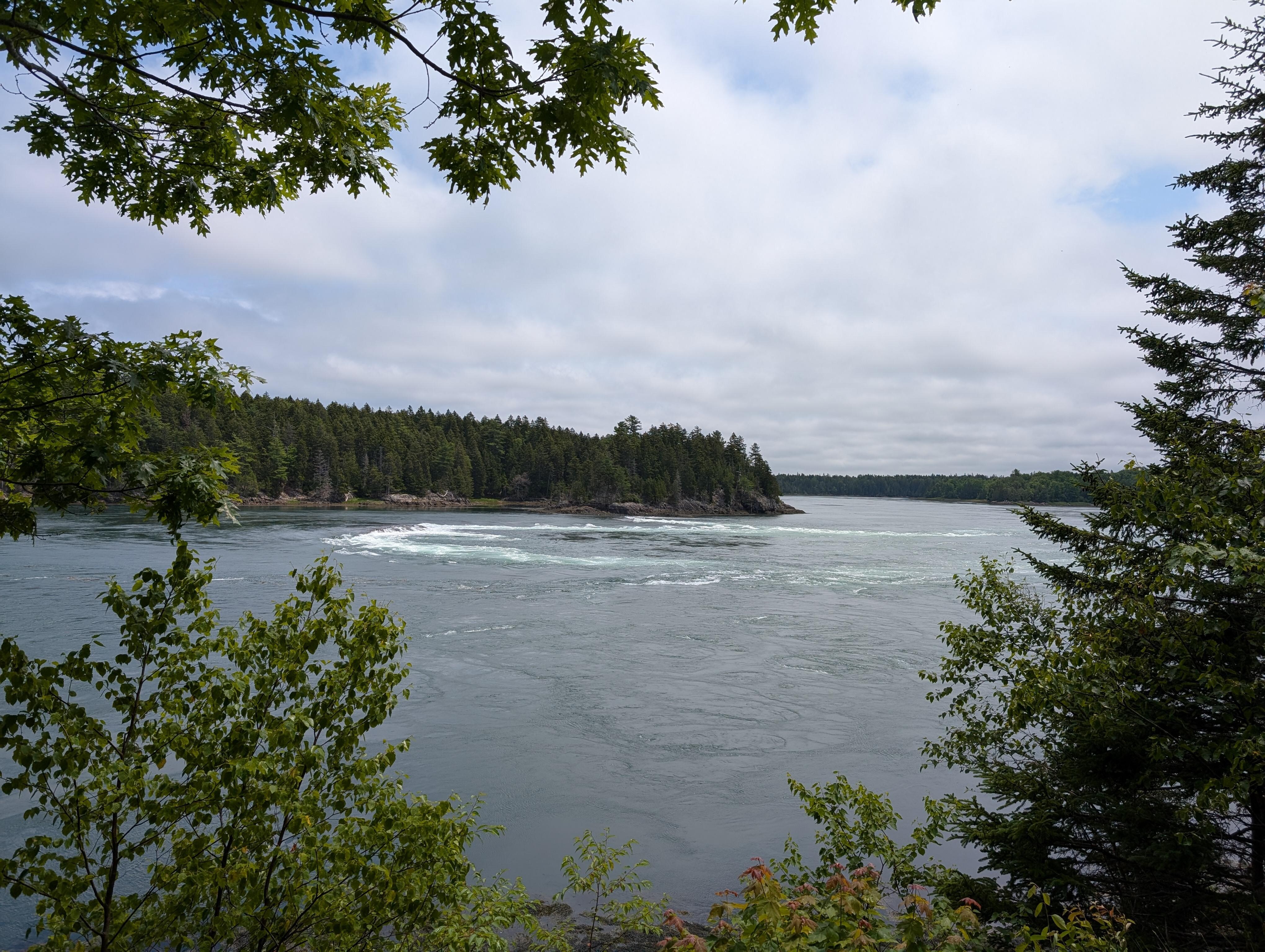 Reversing Falls