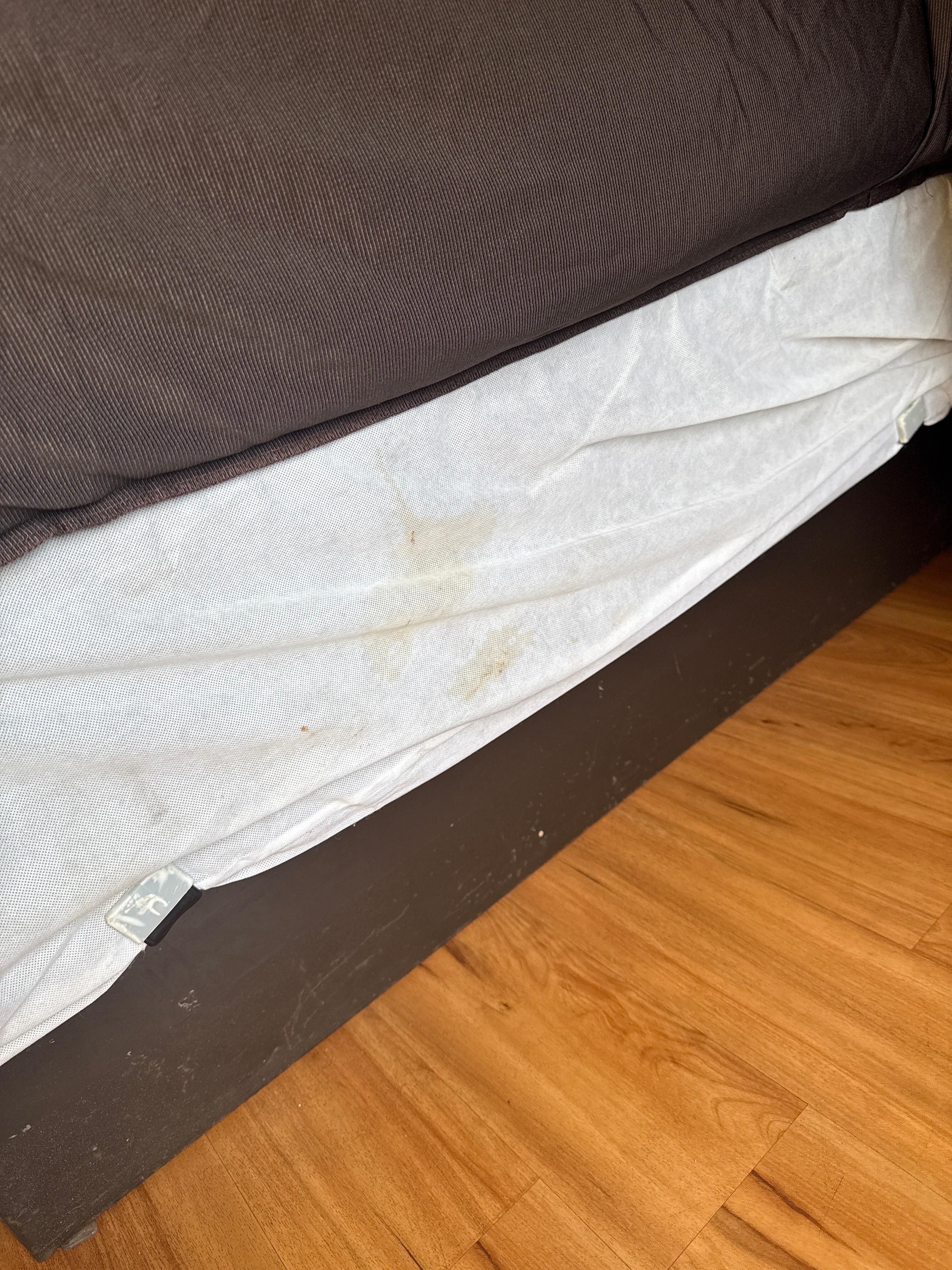 Stains on bed