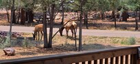 Front porch photo