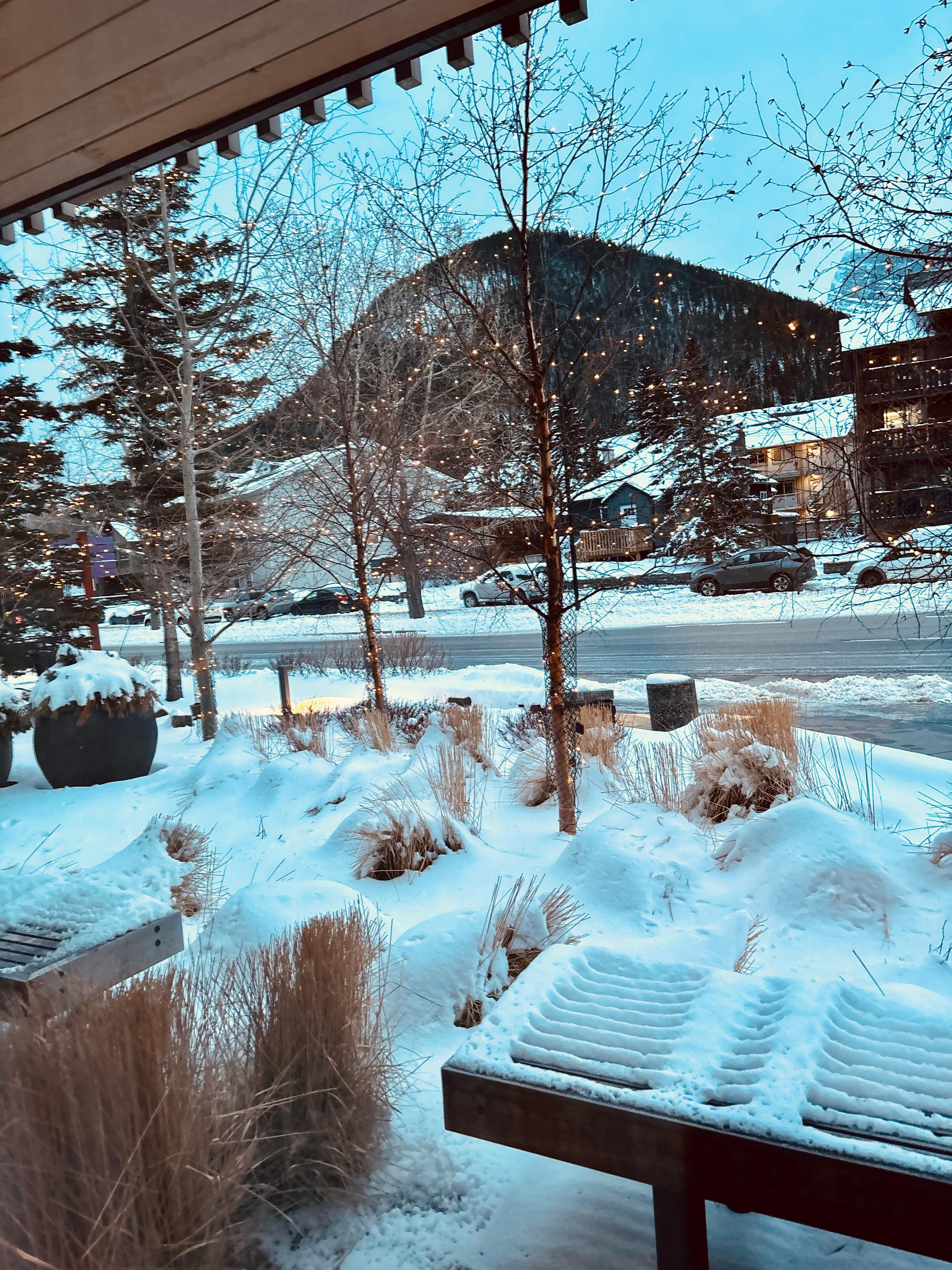 The view from our room! 