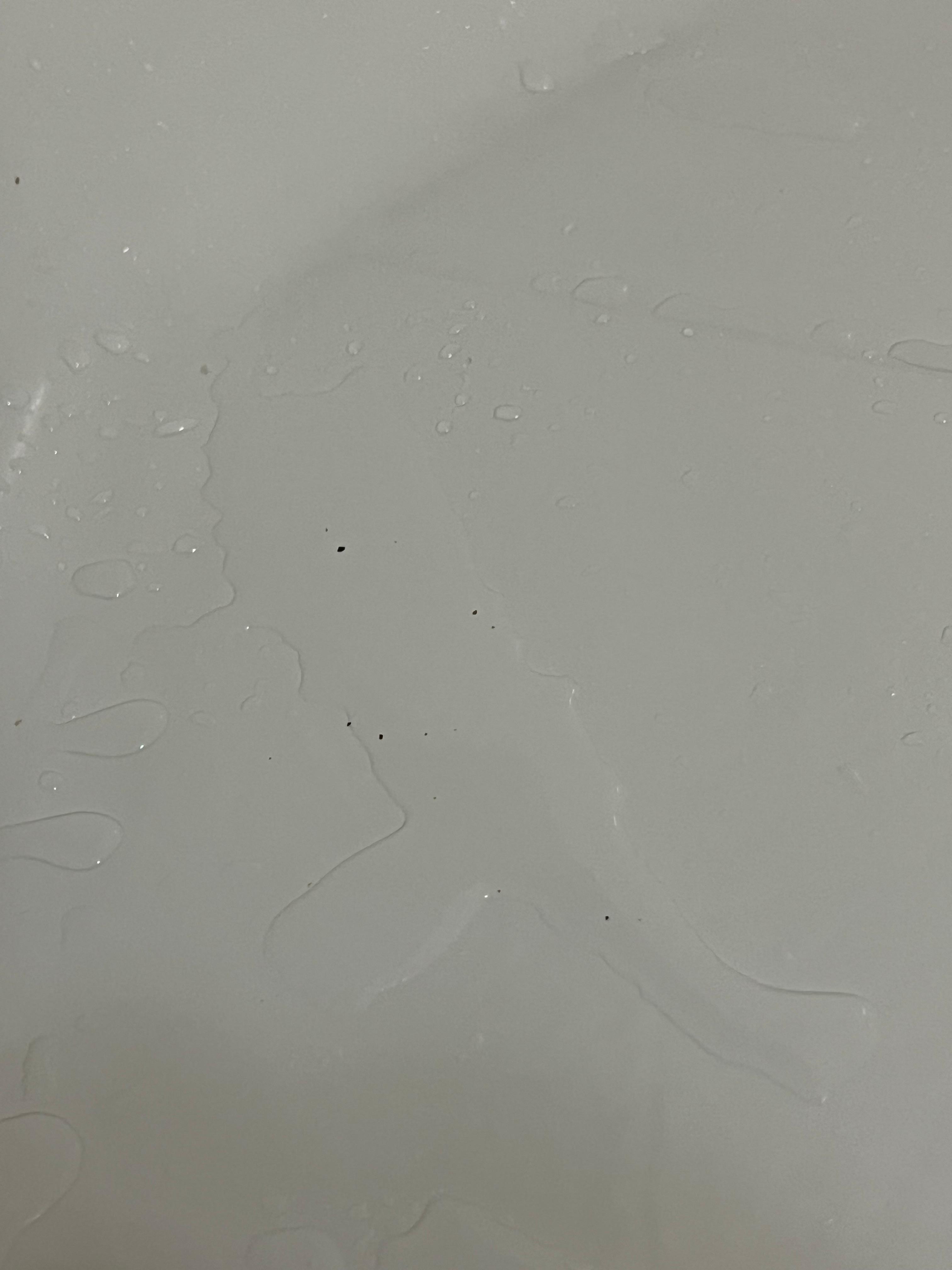 From the shower head