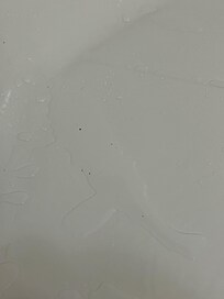 From the shower head