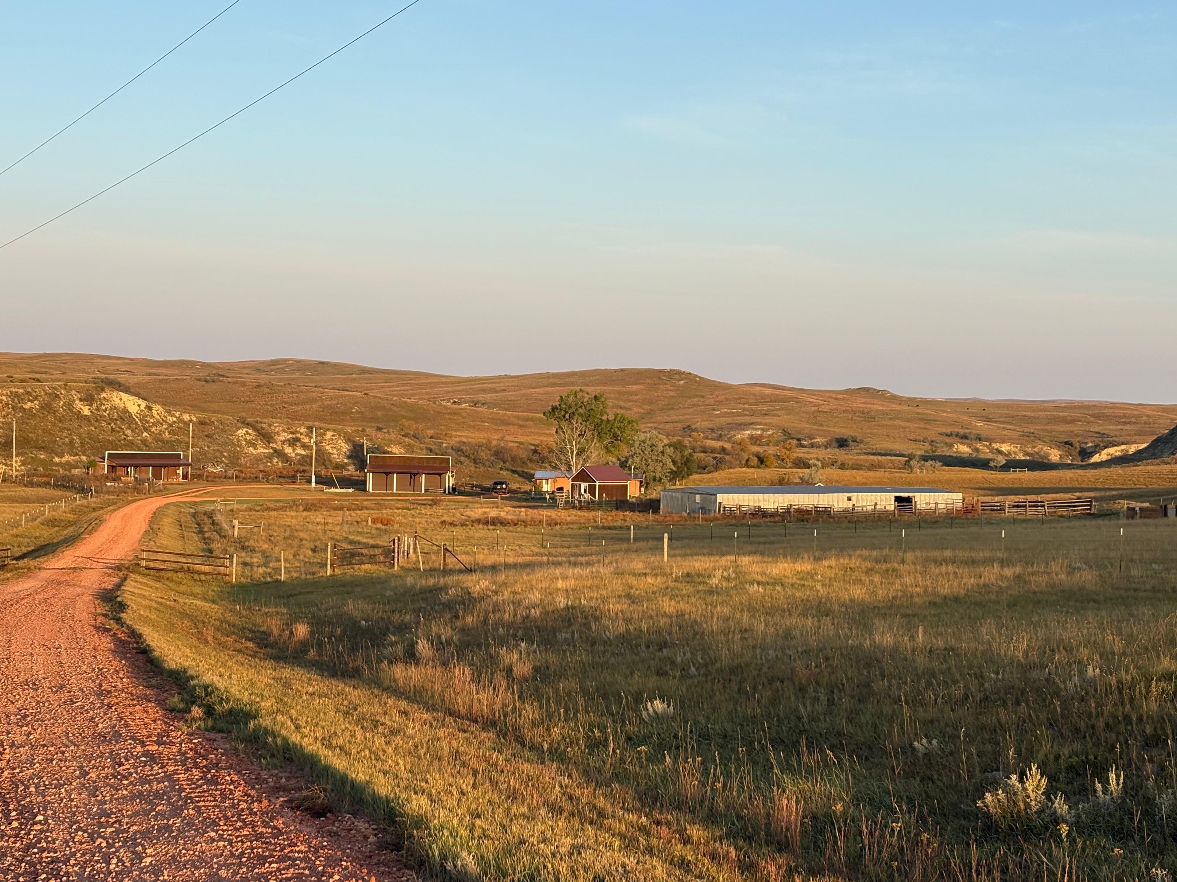 Rolling hills surrounding the cabin