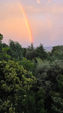 Some rain - wiewed from the terrace