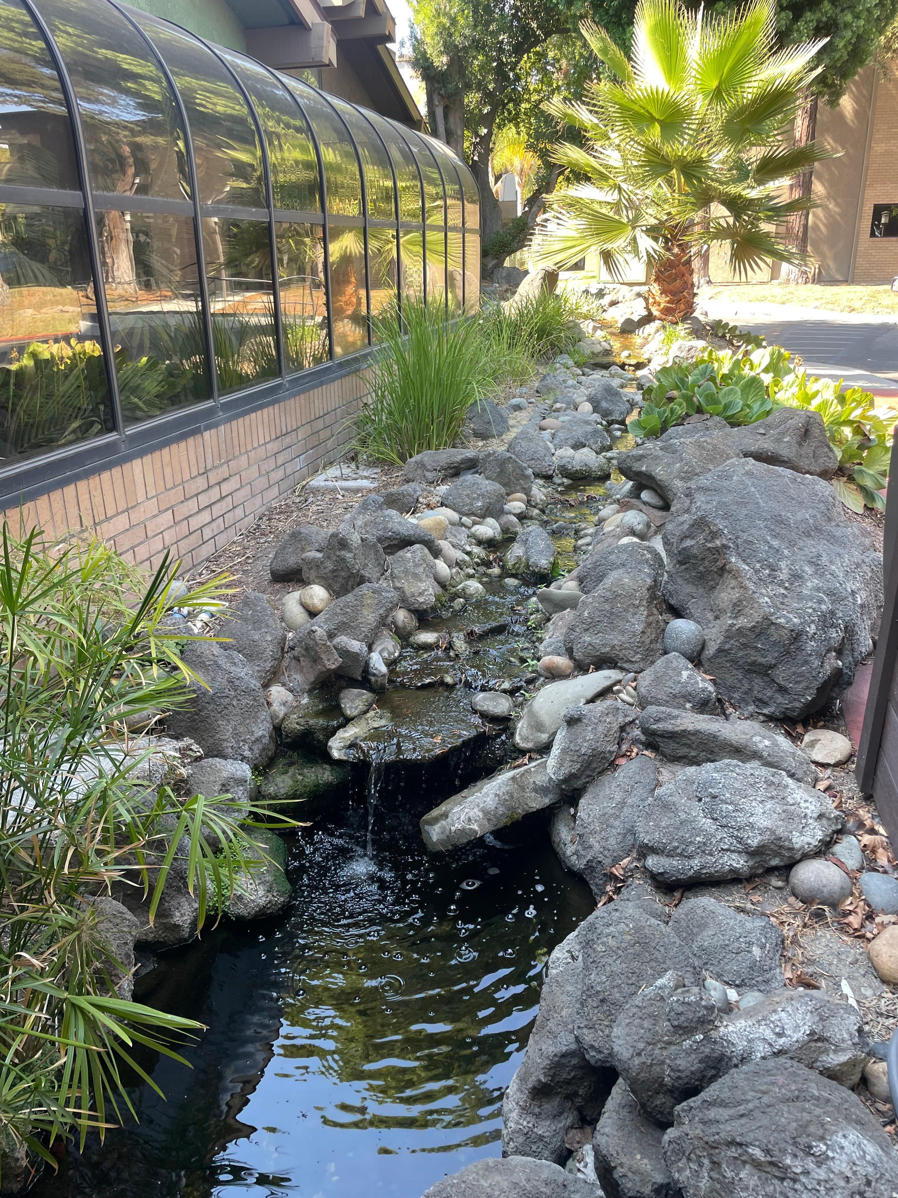 The water feature at the entrance. 