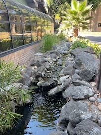 The water feature at the entrance.