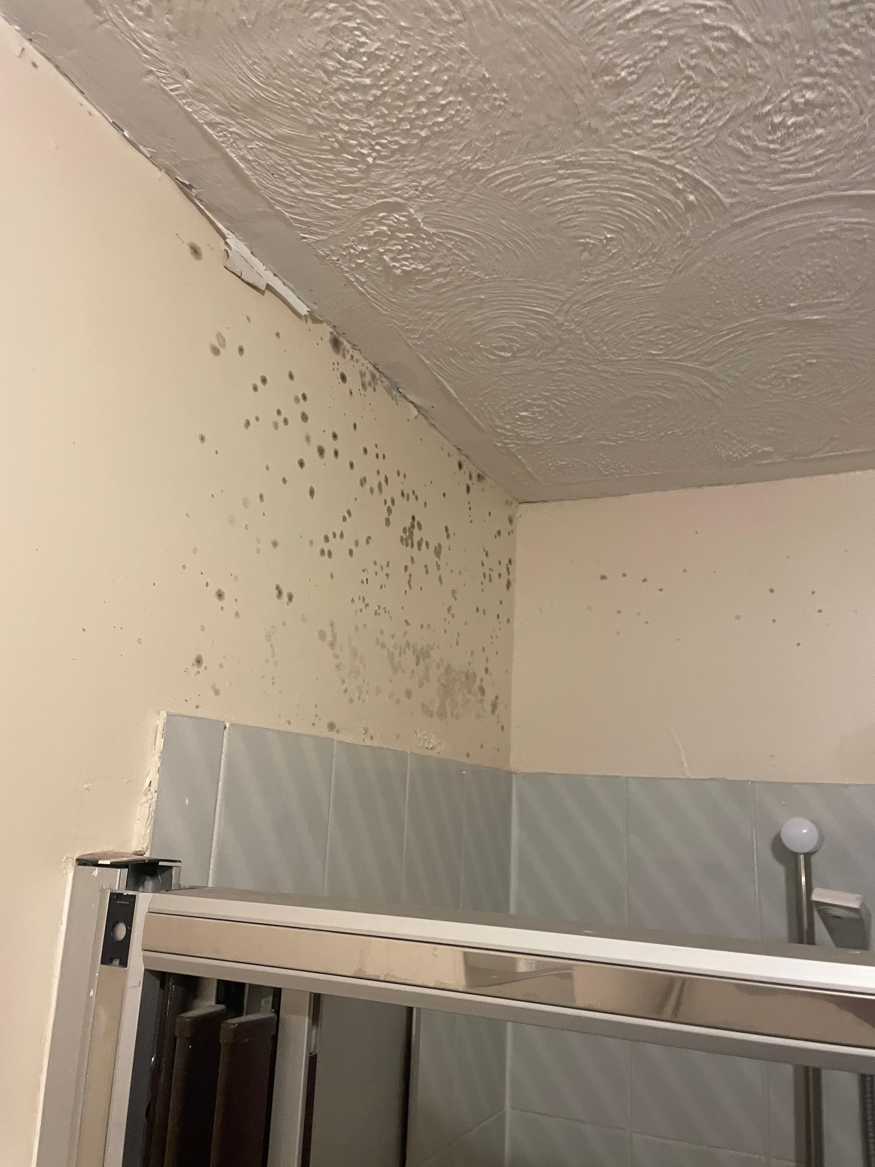 Mould on shower walls