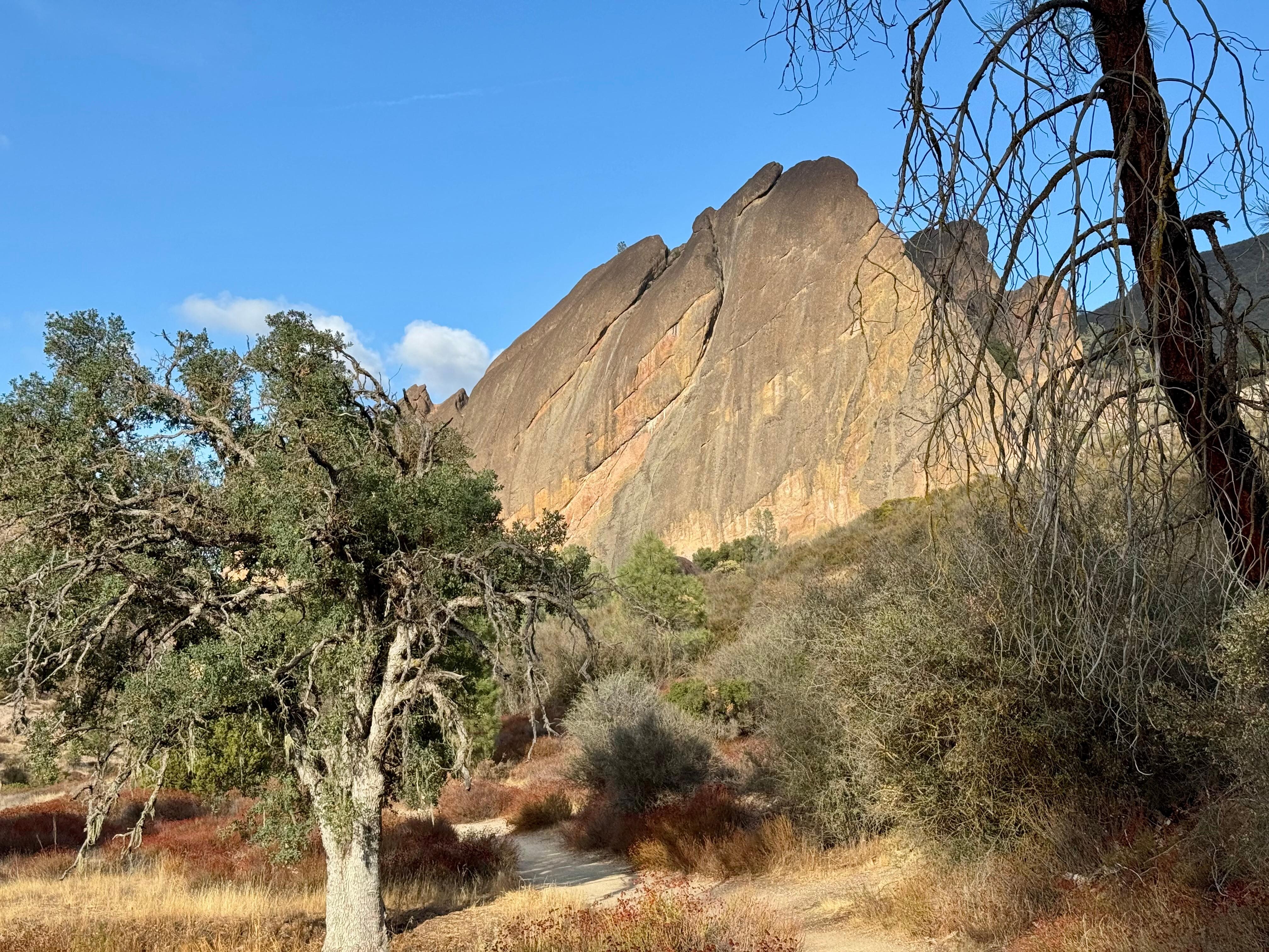 nearby Pinnacles National Park