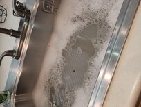 The ever clogging sink.