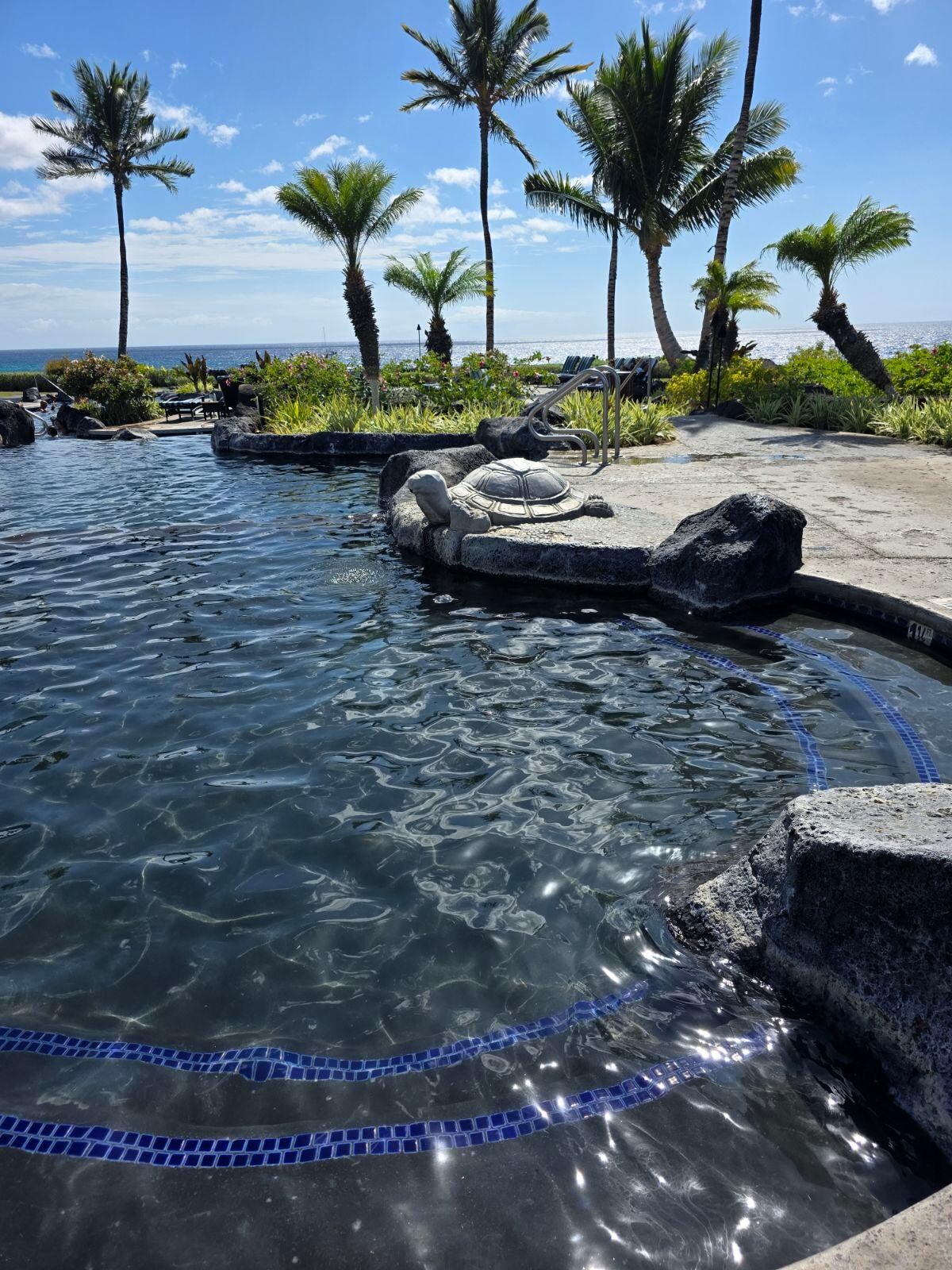 Pool area (a little bit of a walk, but definitely doable!  Limited parking spaces at the club available, but usually full)