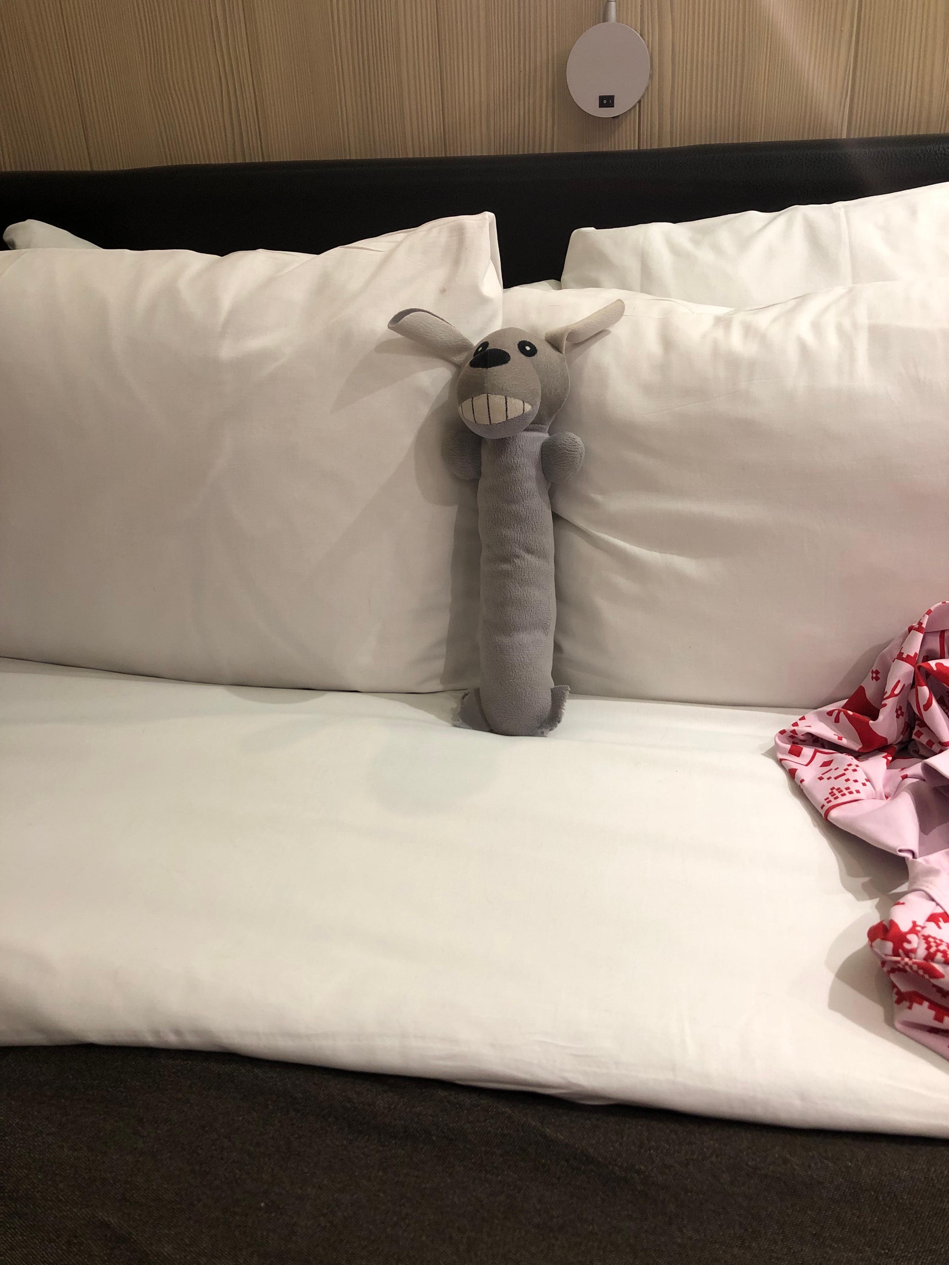 Comfortable bedding! Good cable network-Sky ..was able to enjoy the NFL Playoffs! 49ers♥️ JJ my 🐶 in the grey ♥️