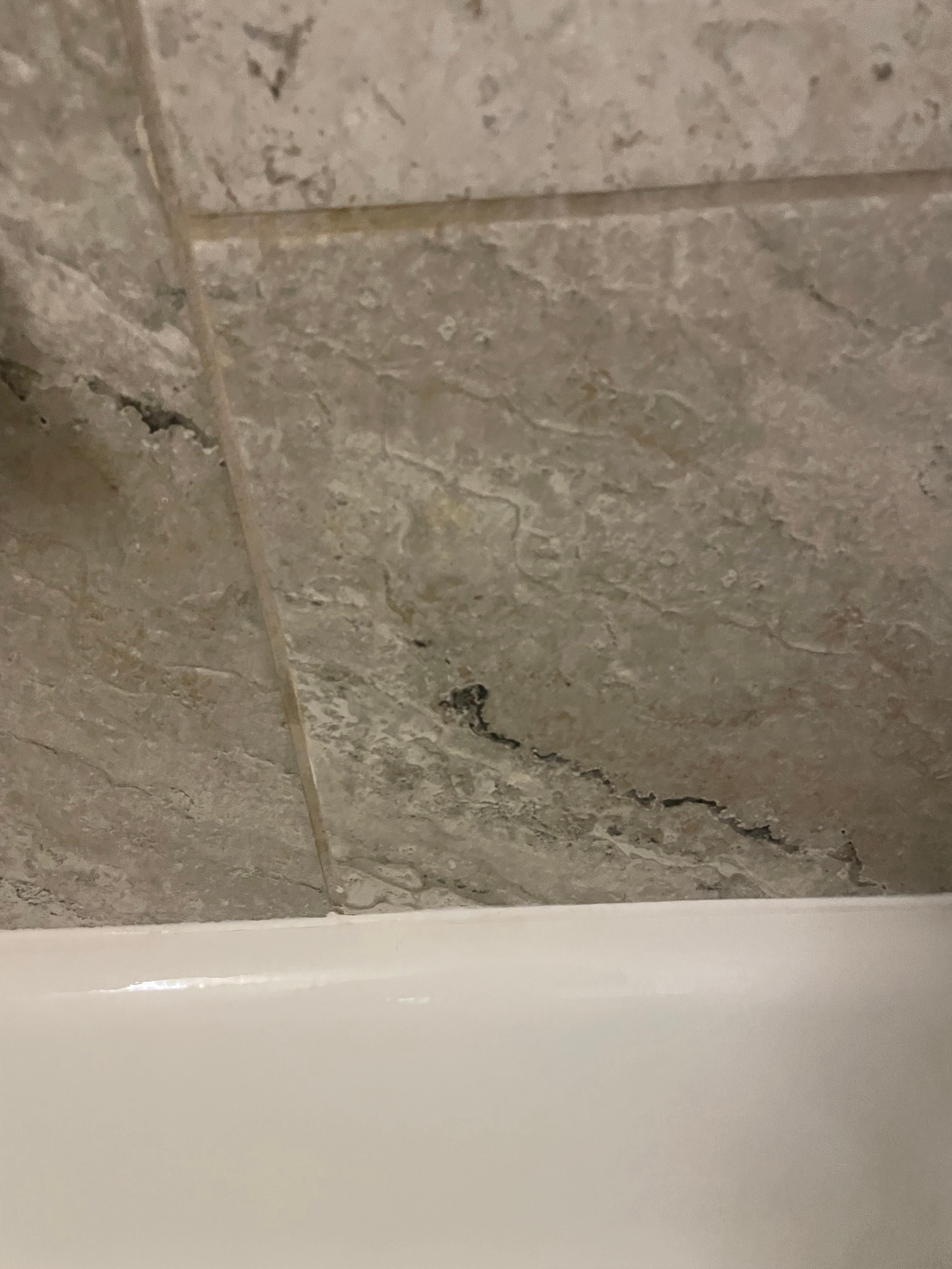 Mold on the bathtub wall