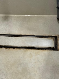 Mold in shower