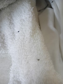 Bugs on towel