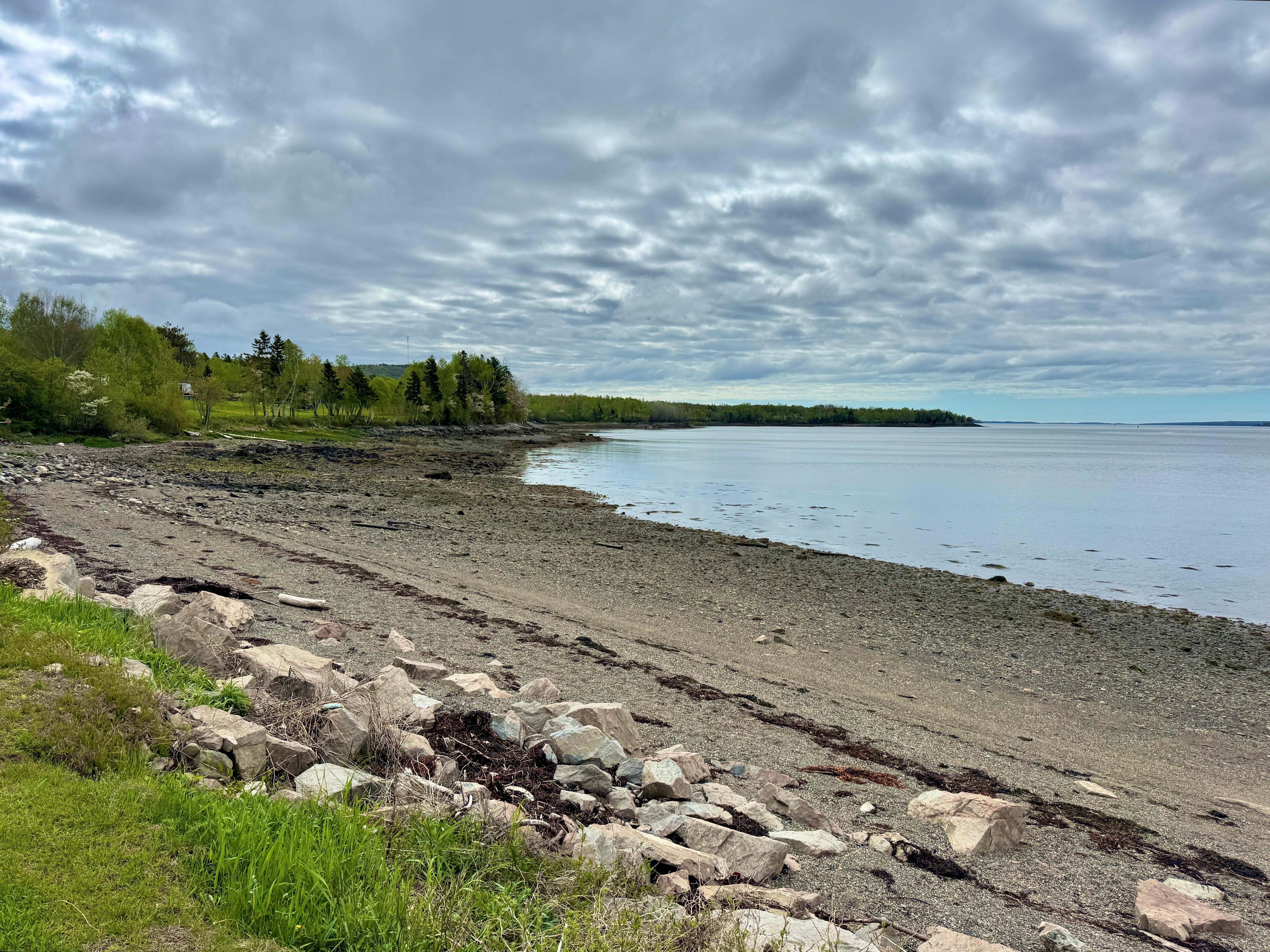 View from the shoreline