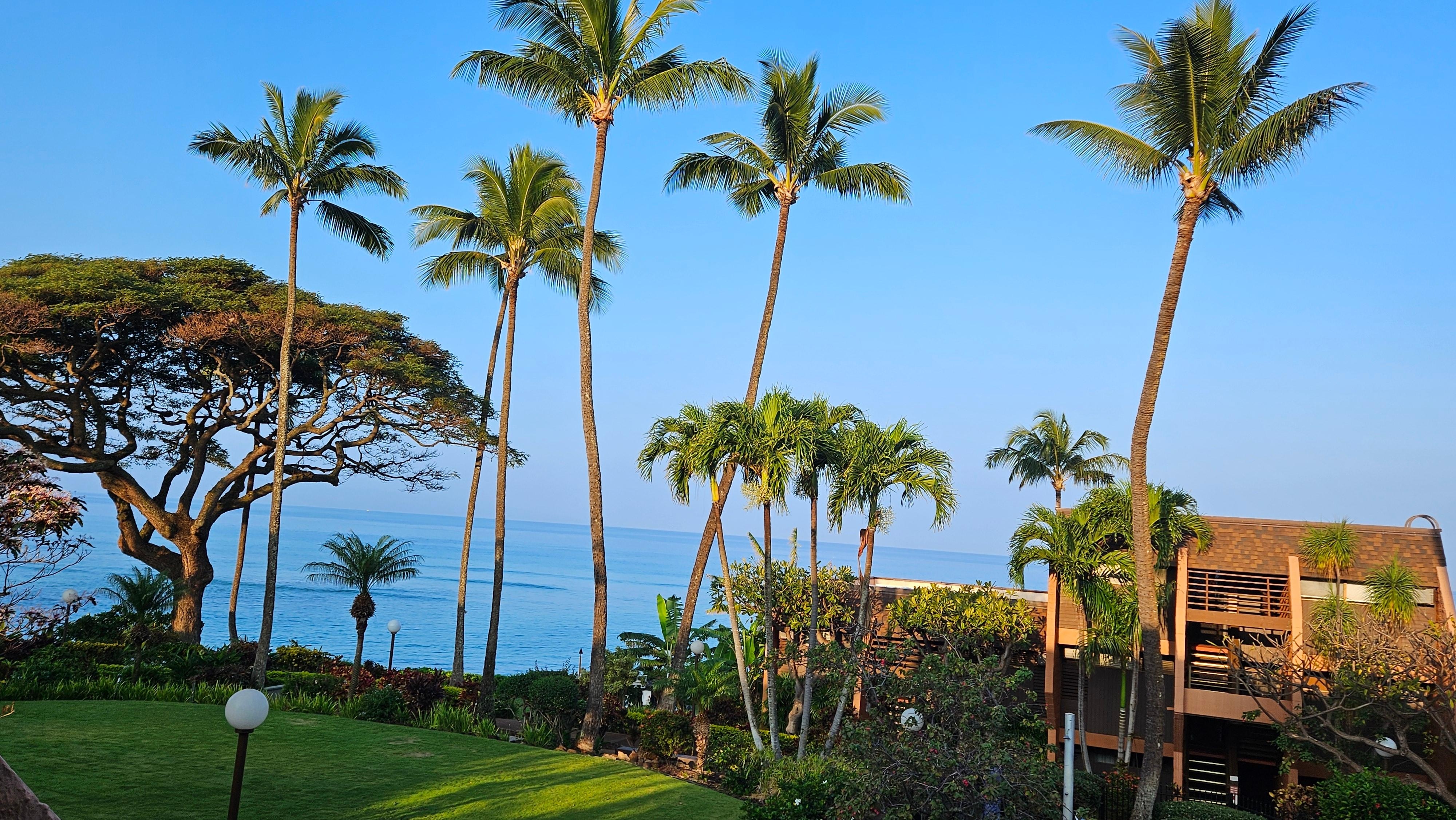 Wish the whales were part of this picture. We saw so many from the balcony.