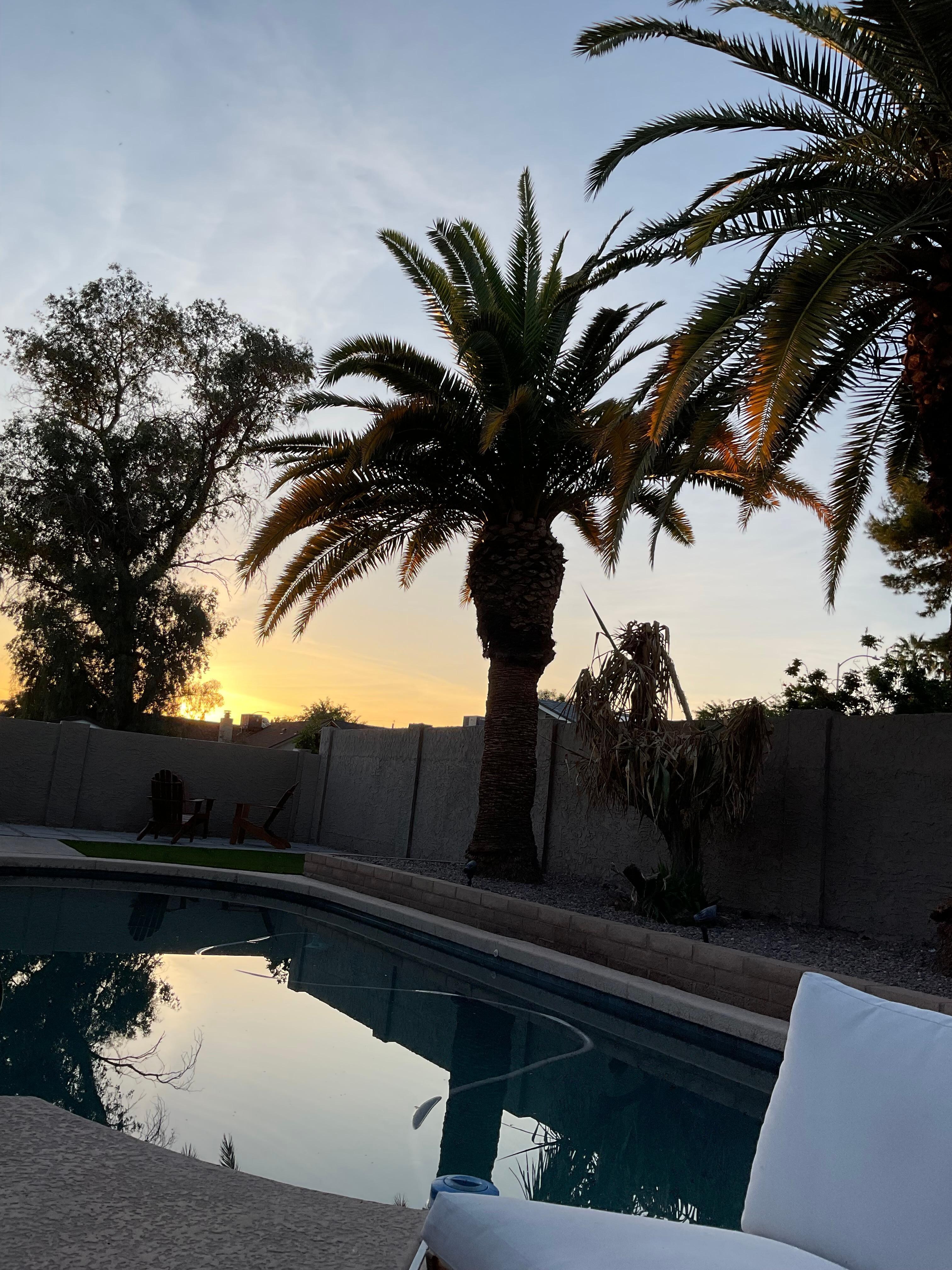 Back yard view. 