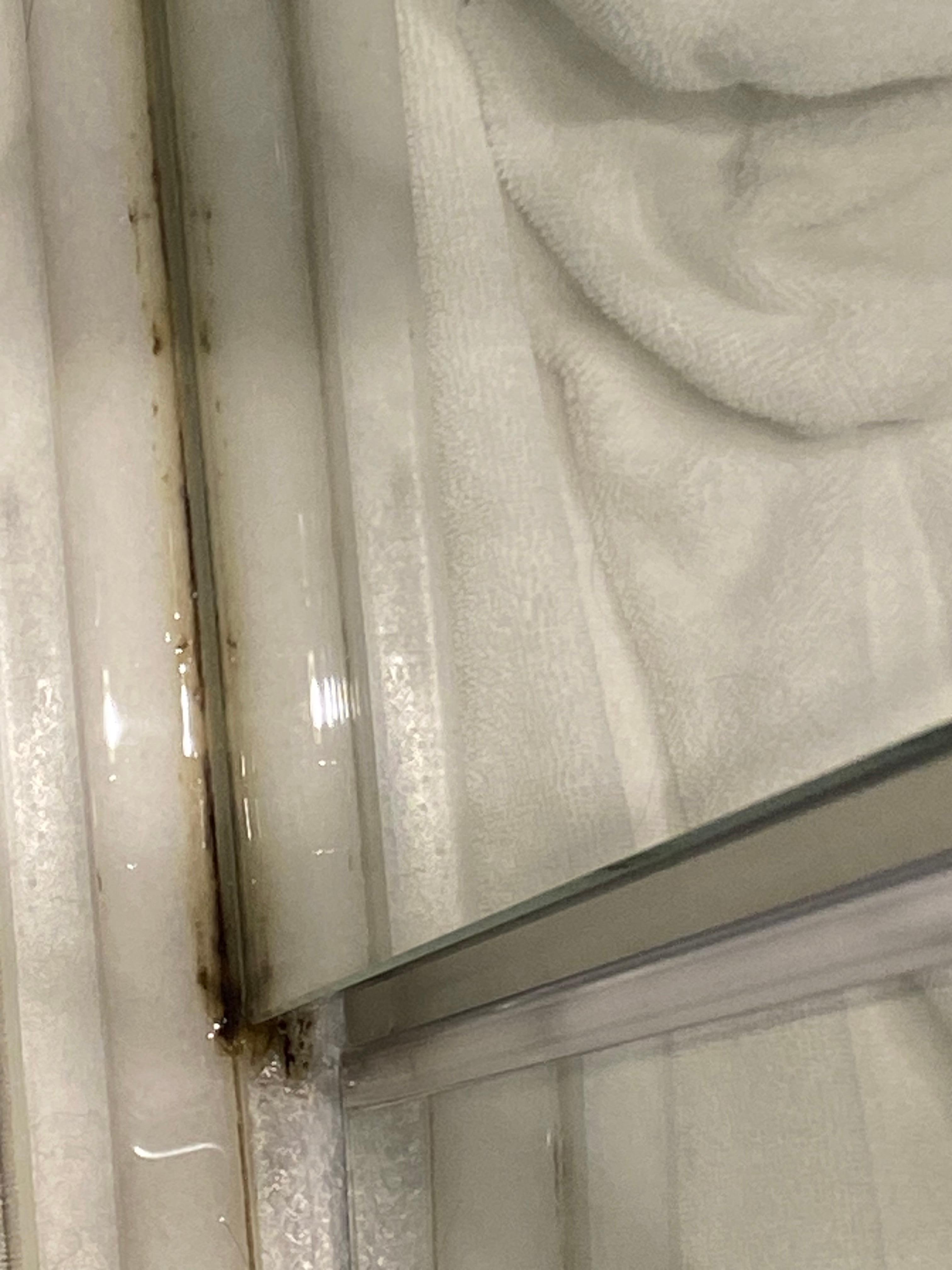 Shower needs come deep cleaning 