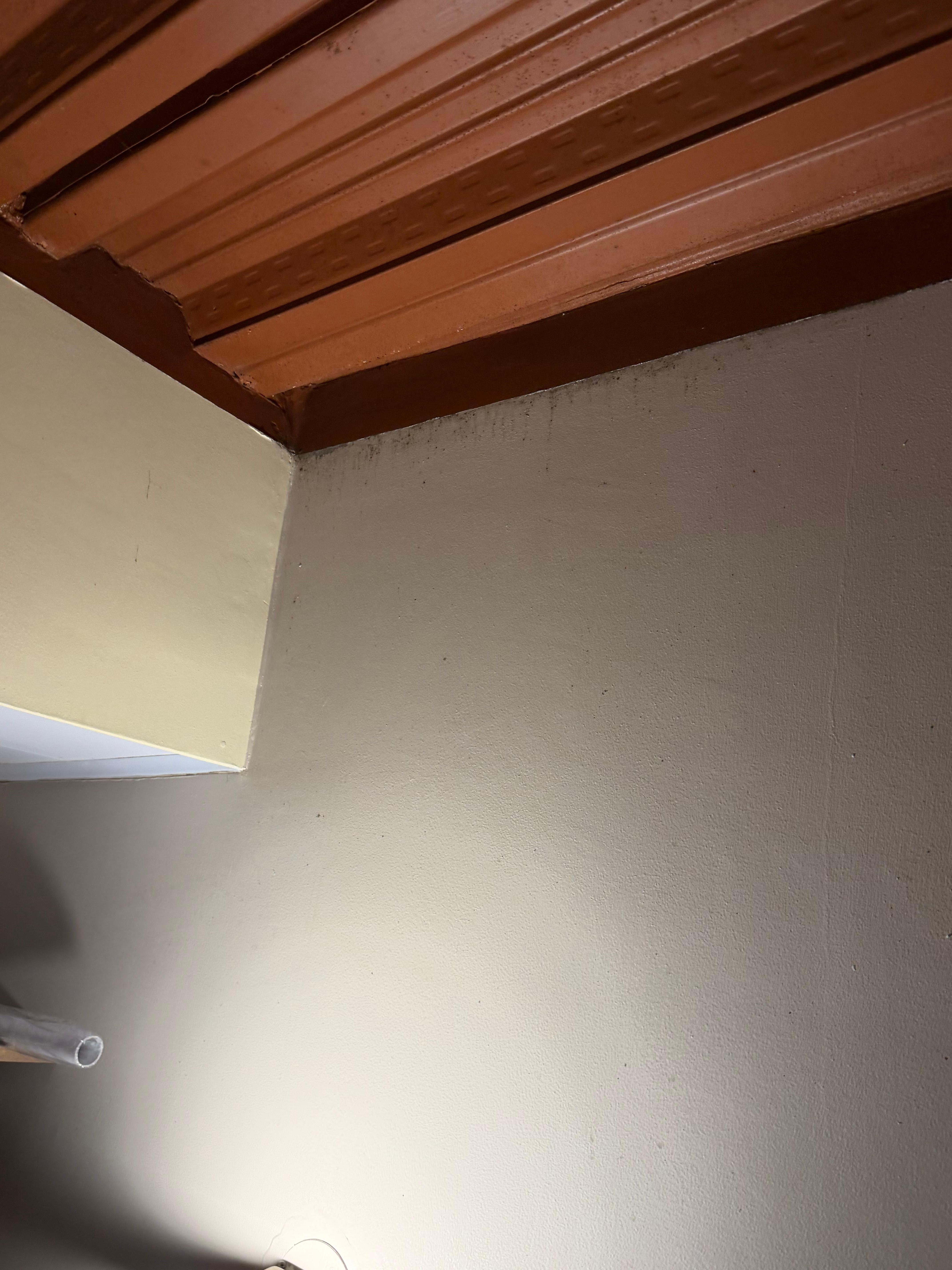 Teto todo assim mofado