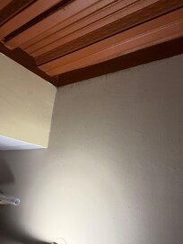 Teto todo assim mofado