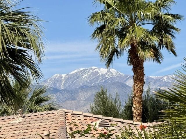 Mt. San Gorgonio 11,500 feet taken from the bedroom sliding door.