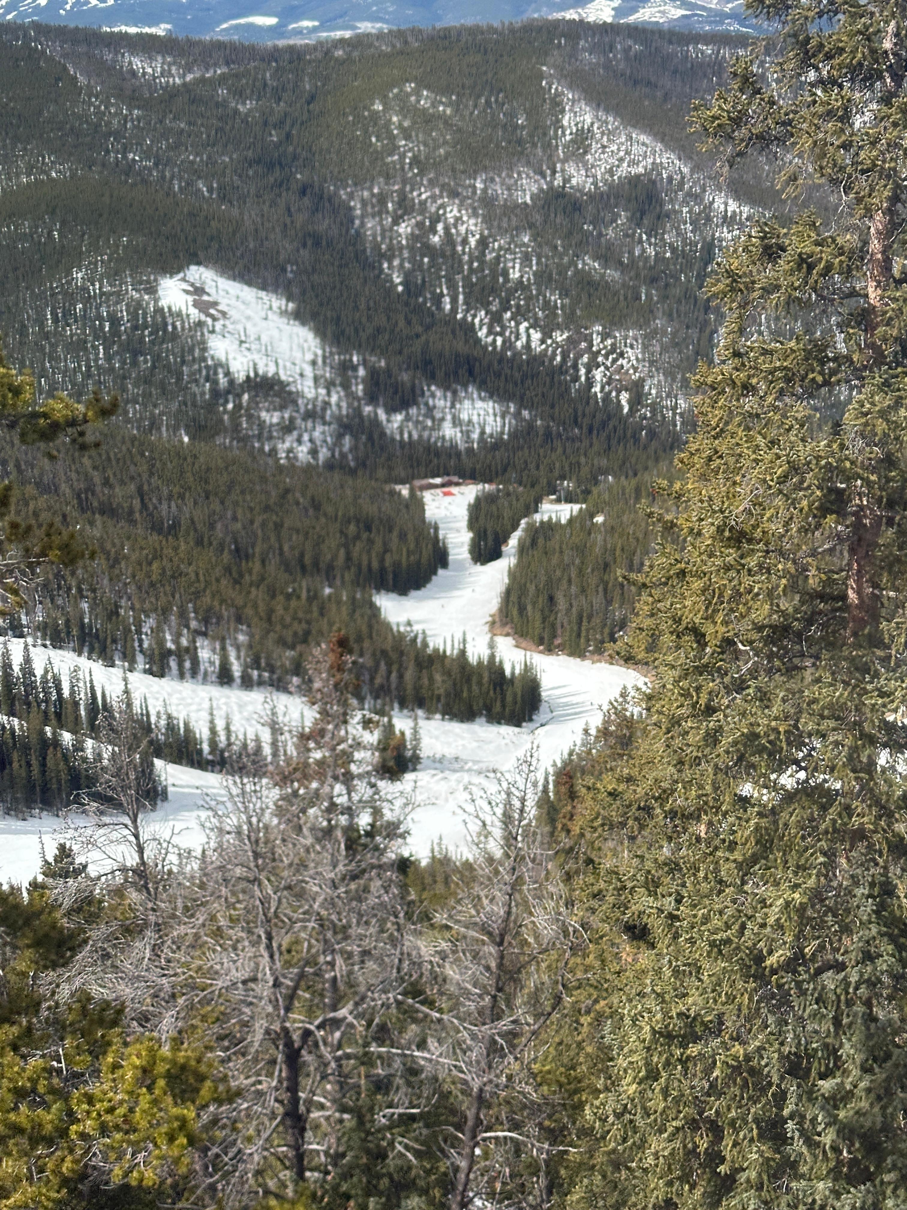 View from the outpost gondola at Keystone!  
