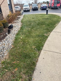 only grass for dogs to poop