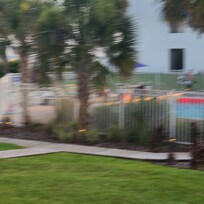 View from back porch.