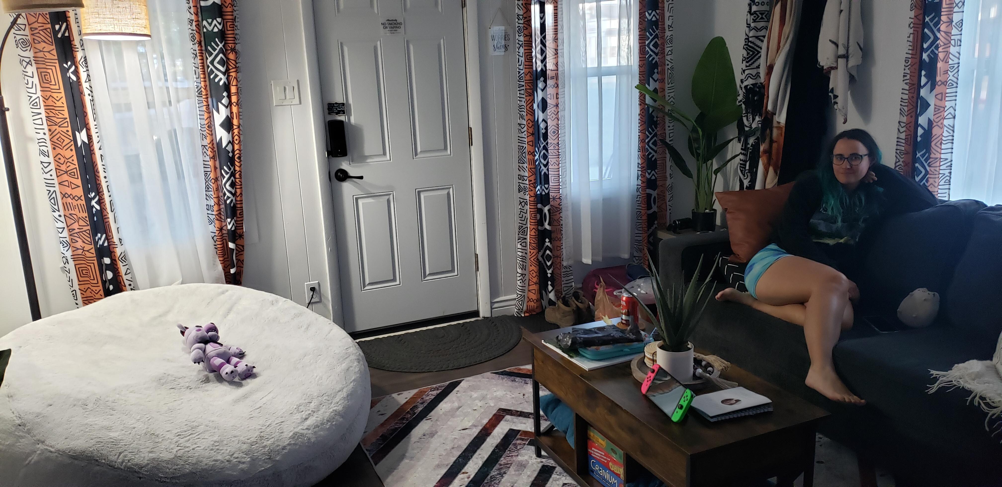 Ample, super cozy living room which has a comfortable sofa bed