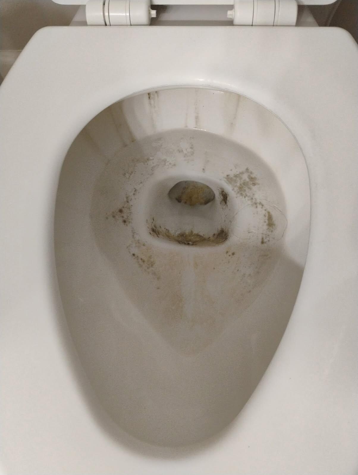Green slime with fuzz on it master bathroom toilet 