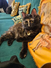 My breakfast companion