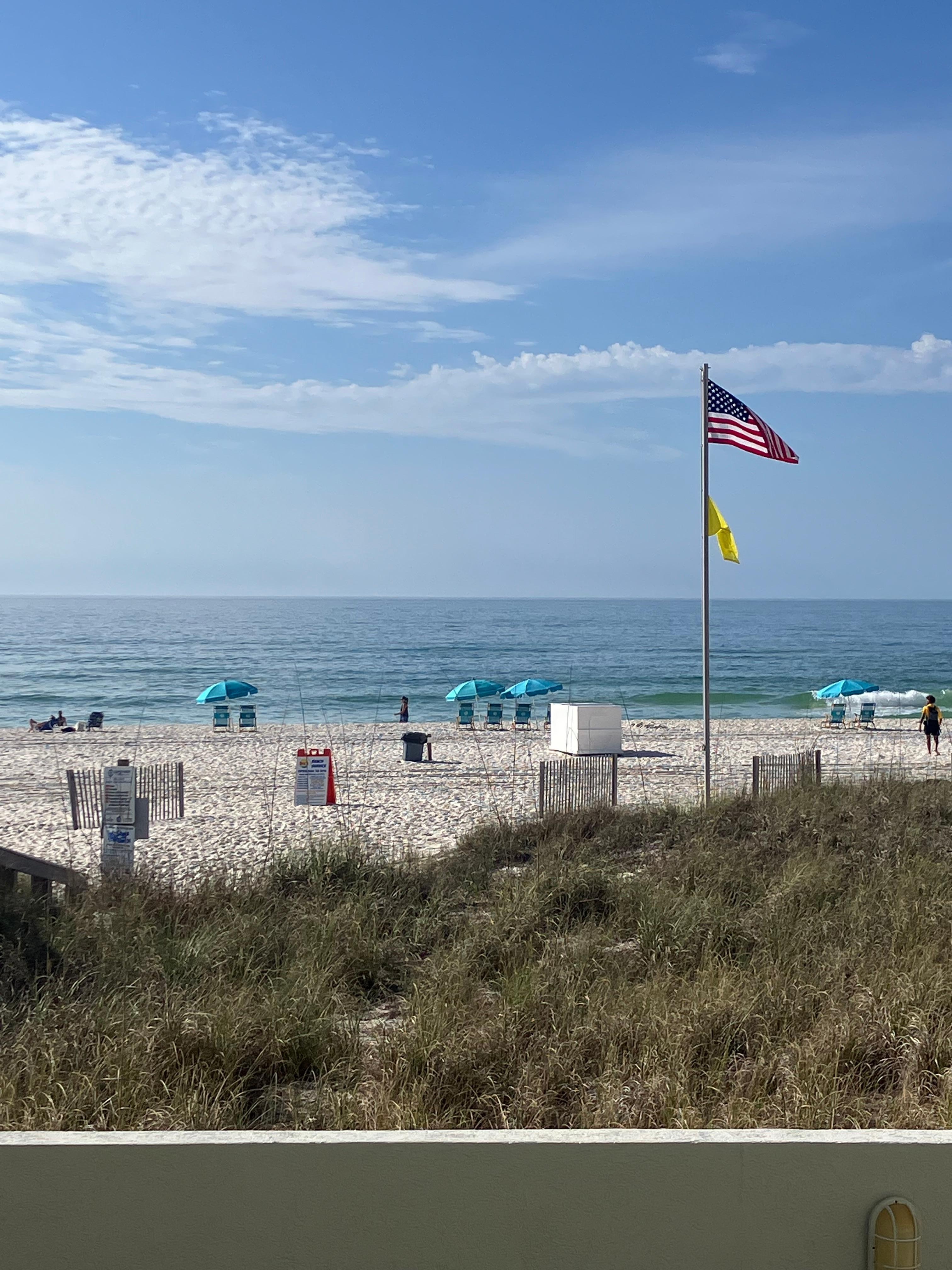 Taken from the patio.