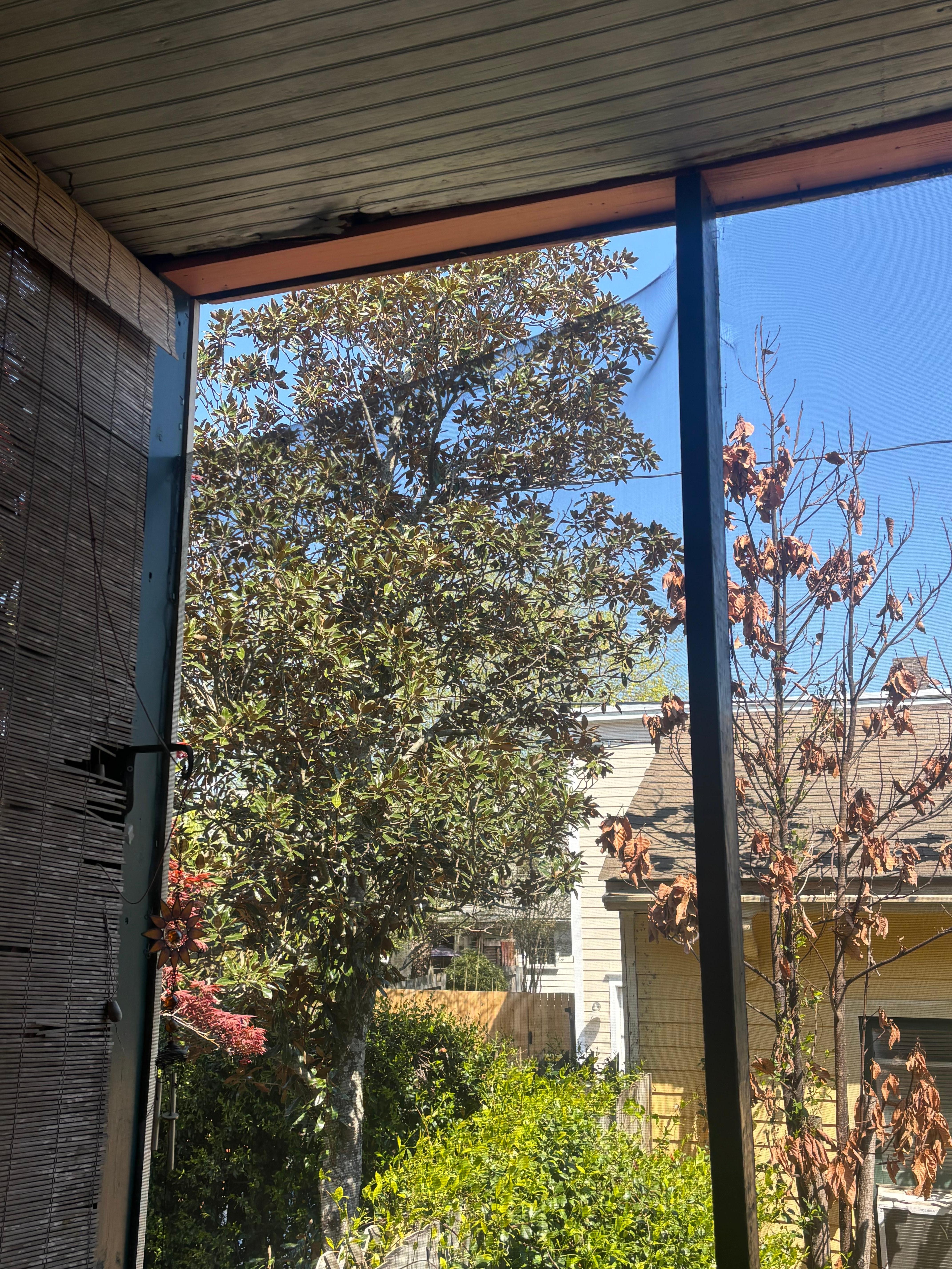 Screened porch could use tightened up screen