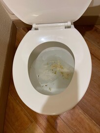 Clogged dirty toilet upon check-in.