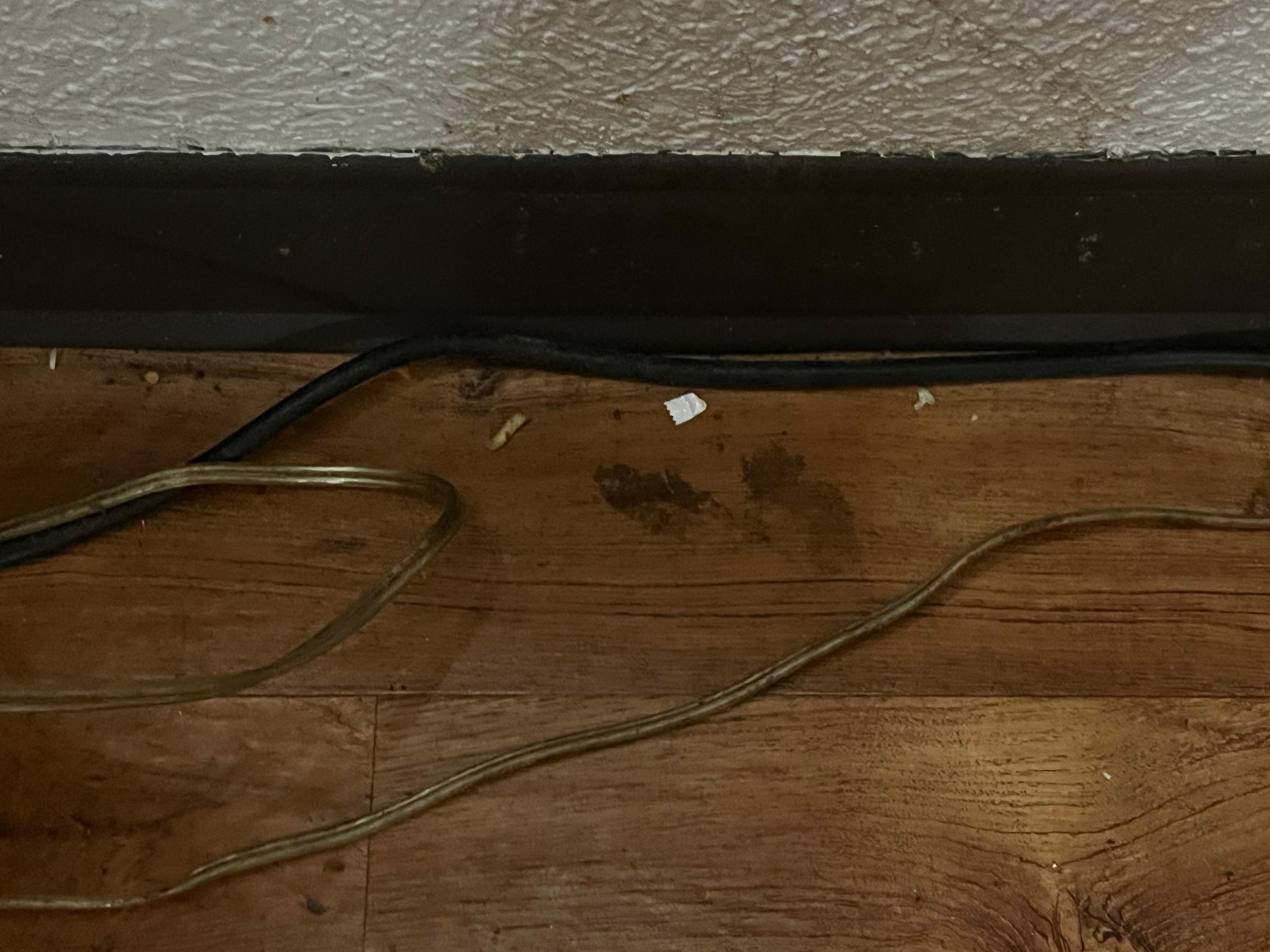 Dirt along walls.
