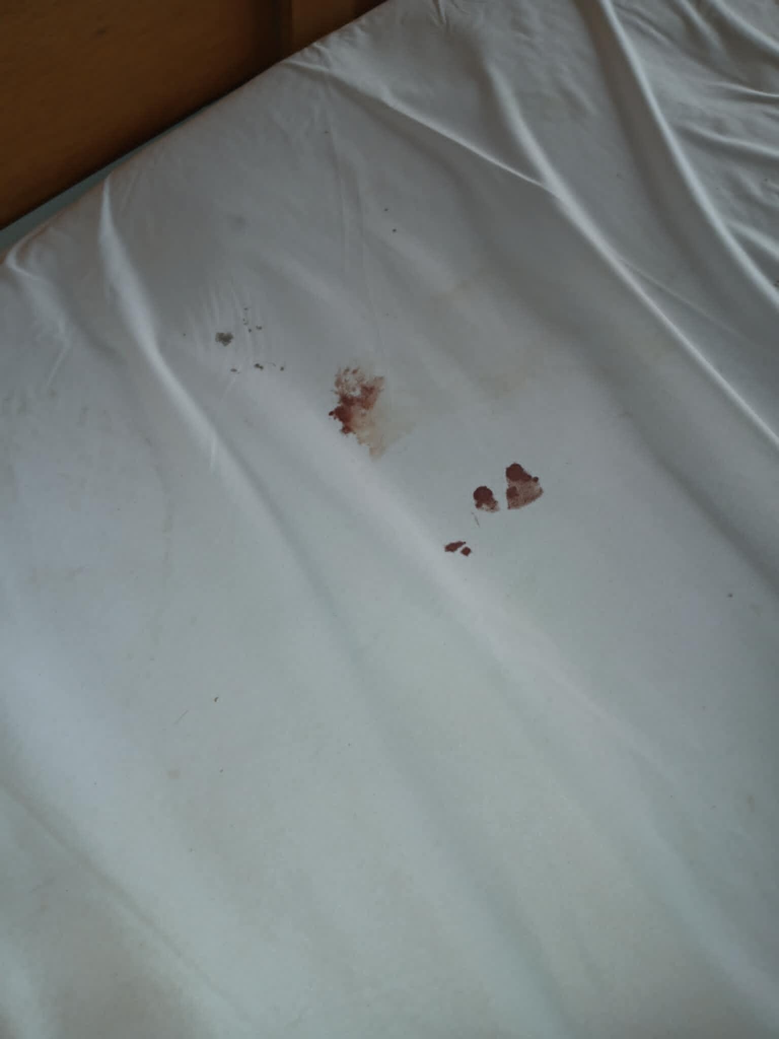 Blood spots on yet another area of mattress cover.