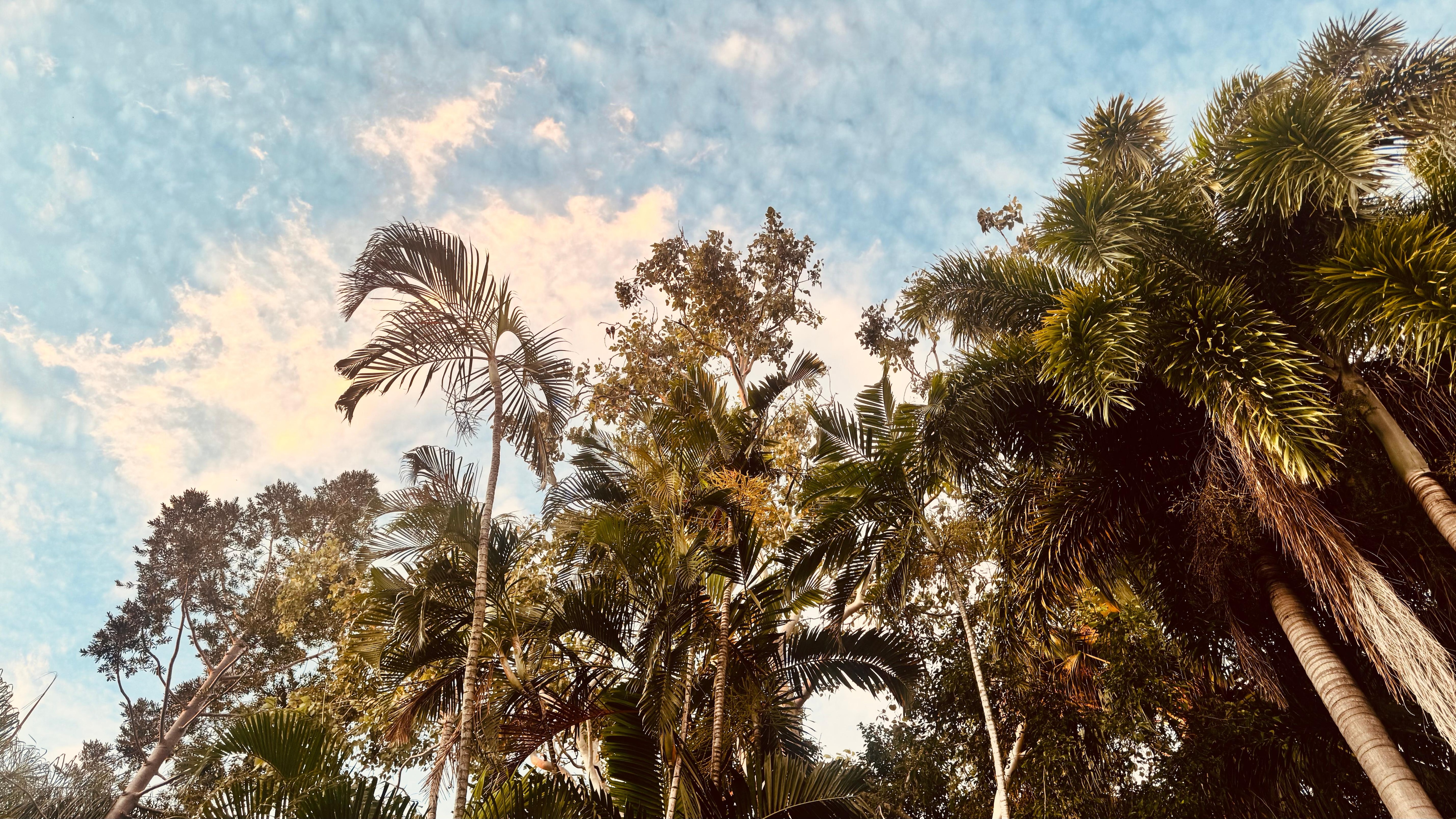 Beautifully maintained tropical gardens