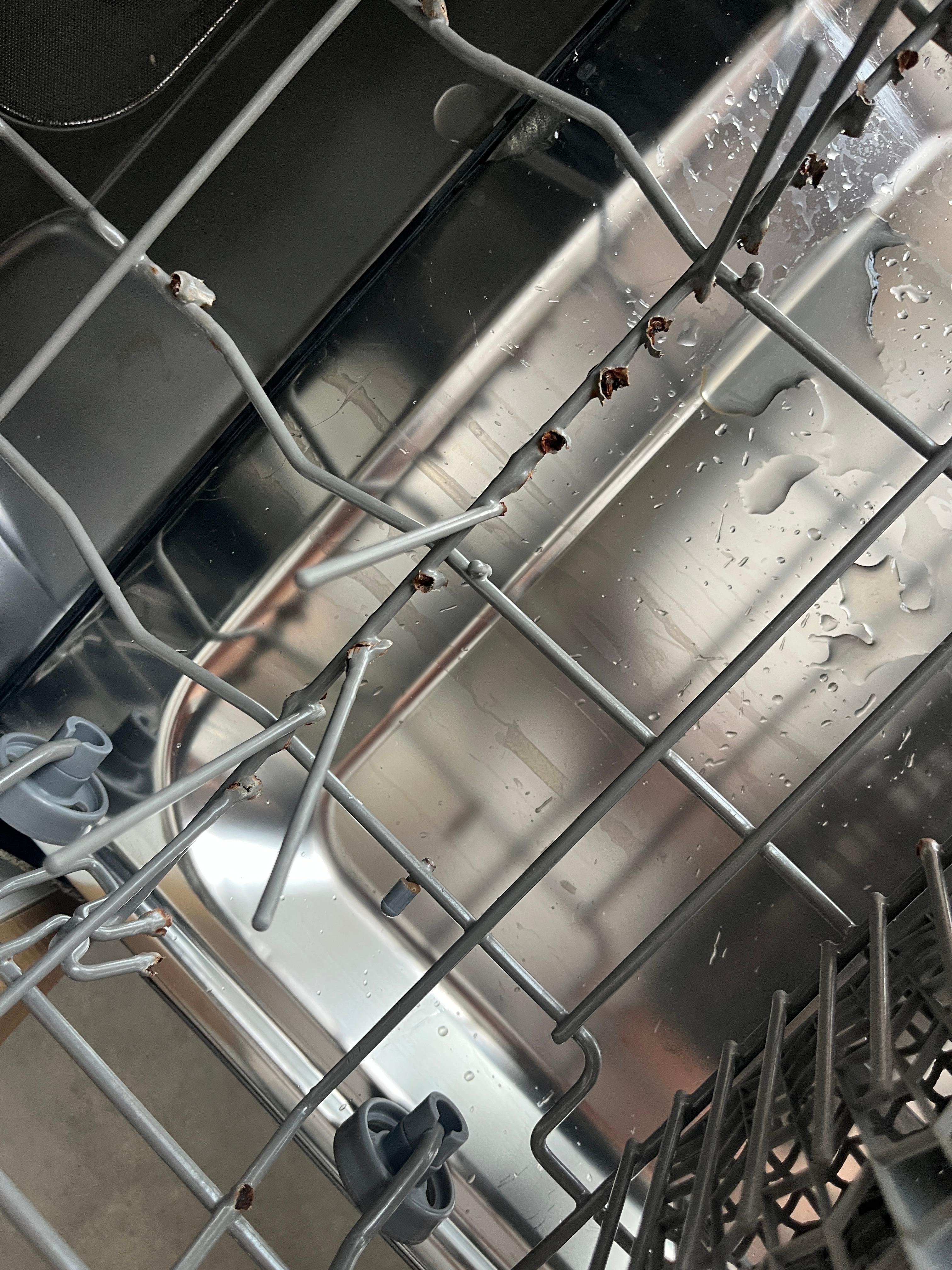 Dishwasher in need of replacemebt